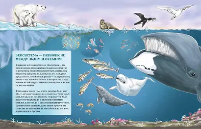 Под арктическим льдом - фото 3