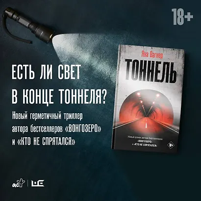 Тоннель. Роман - фото 8
