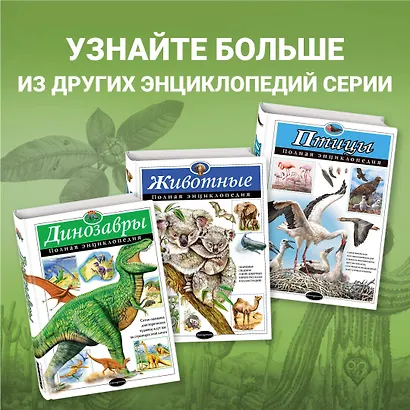 Растения. Полная энциклопедия: Мир растений в интересных фактах и красочных иллюстрациях - фото 6