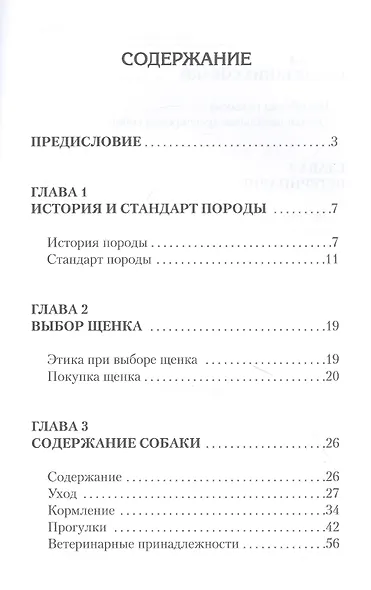 Американский бульдог - фото 2