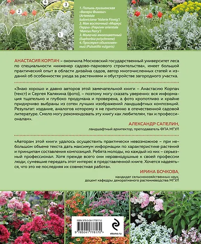 Цветники: 85 лучших композиций (новое оформление) - фото 2