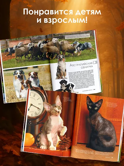 Большая книга о кошках и собаках. 1001 фотография - фото 6