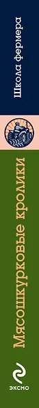 Мясошкурковые кролики: Прибыльное разведение - фото 4
