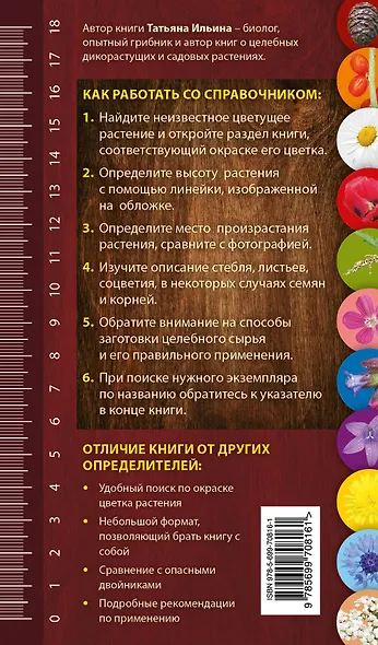 Целебные травы. Карманный справочник-определитель - фото 2