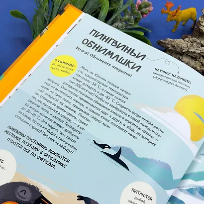 Вместе лучше! Командная работа в мире животных - фото 6