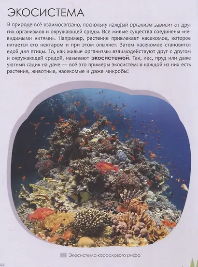 Детская энциклопедия. Земля и космос - фото 7