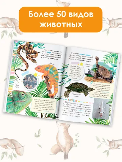 Такие разные животные - фото 5