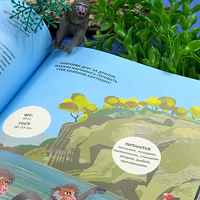 Вместе лучше! Командная работа в мире животных - фото 9