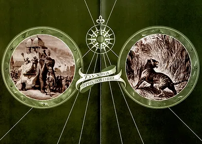 Шкура тигра - фото 4