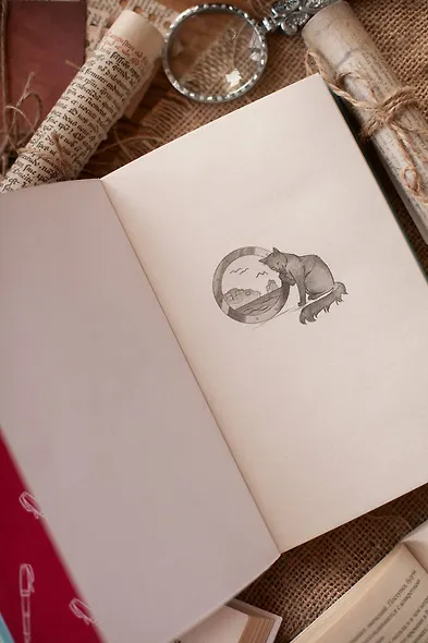 Последний круиз писателя. Книжный клуб «Детективы по вторникам» - фото 10