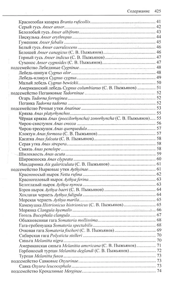 Птицы Сибири (комплект из 2 книг) - фото 3