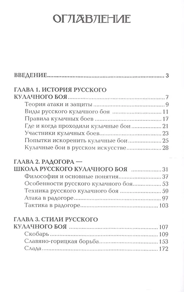 Уличный кулачный бой. - фото 2
