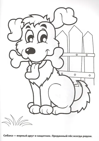 Домашние Животные. Прозрачные Страницы. - фото 3