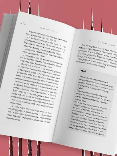 Кошачий закон и порядок. Как найти общий язык с кошкой и не стать жертвой ее капризов - фото 13