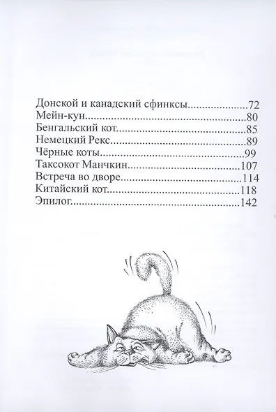 Летающий кошкозавр Митька - фото 3