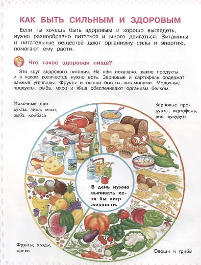 Тело человека. Энциклопедия для дошкольников с веселым енотом - фото 5