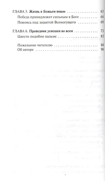 Львы Господа Бога - фото 3