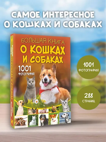 Большая книга о кошках и собаках. 1001 фотография - фото 4
