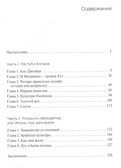 Львы и розы ислама. Историческое путешествие от Мекки до Багдада - фото 2