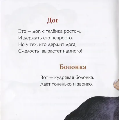 День рождения собаки - фото 4