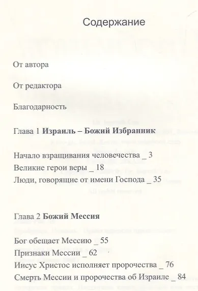 Пробудись, Израиль! - фото 2