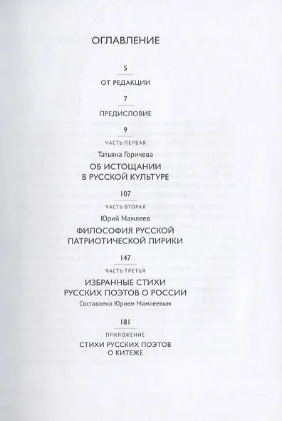 Новый Град Китеж. Философский анализ русского бытия - фото 2