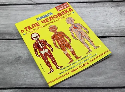 Книга о теле человека с полезными заданиями и упражнениями - фото 4