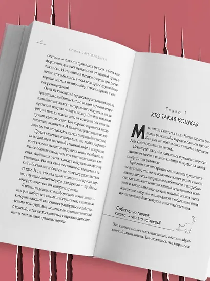 Кошачий закон и порядок. Как найти общий язык с кошкой и не стать жертвой ее капризов - фото 9