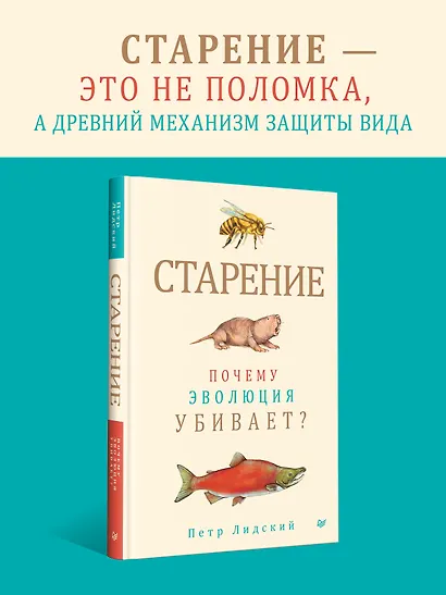 Старение: почему эволюция убивает? - фото 4