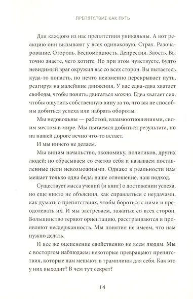 Препятствие как путь - фото 6