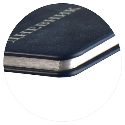 Дневник школьный Феникс+, "Российского школьника" - фото 8