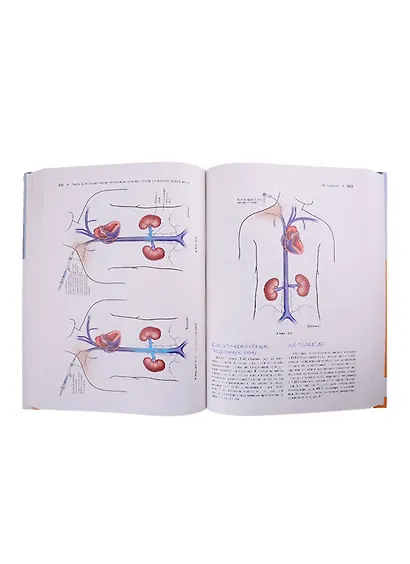 Атлас эндоваскулярной венозной хирургии - фото 7
