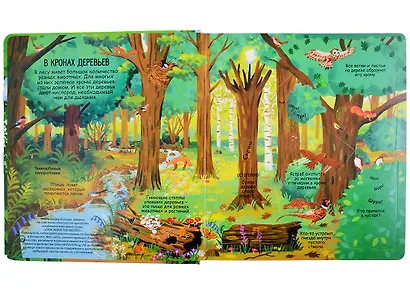 Секреты леса. Более 90 секретных створок - фото 2