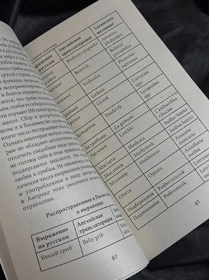 ЗаГРИБные истории. Тайны подземного царства - фото 8