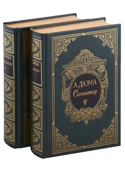 Сальватор, в двух томах - фото 1