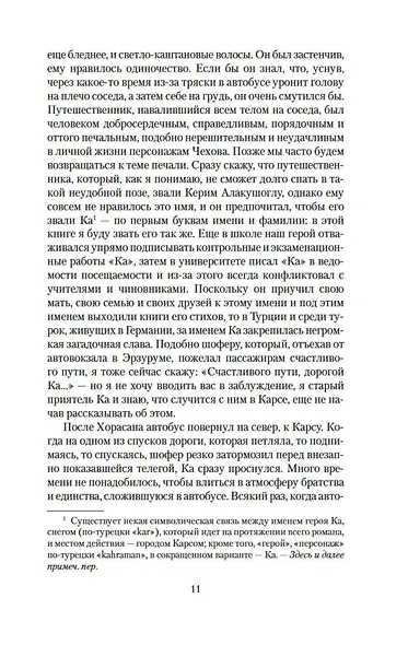 Снег - фото 11