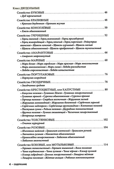 Съедобные дикорастущие растения средней полосы России. Фотоопределитель - фото 3