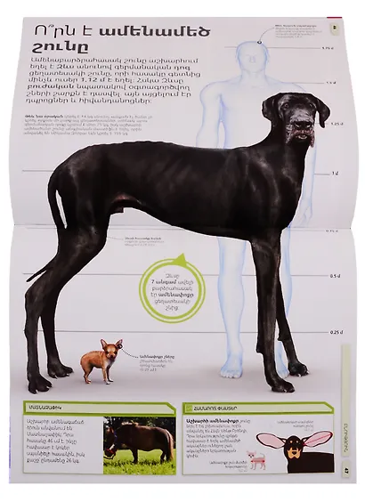 Энциклопедия невероятных фактов 2 (на армянском языке) - фото 8