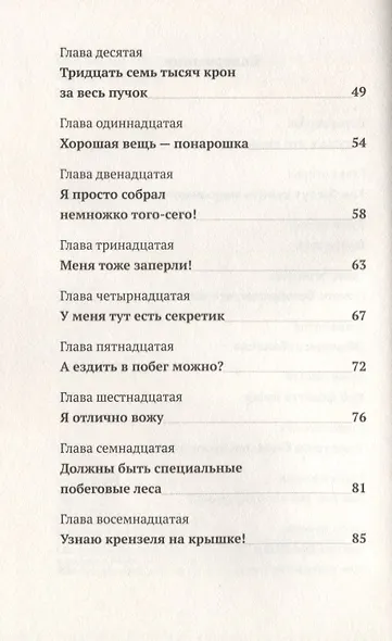 Налле Лапсон берется за дело - фото 3