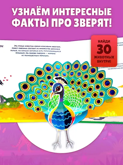 Животные мира. Тактильная книга-панорамка - фото 7