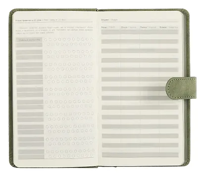 Ежедневник недат. А6+ 120л "Тиволи глосс" зеленый, кожзам, тв.переплет, тиснение фольгой, магнит.клапан, офсет, ляссе - фото 4