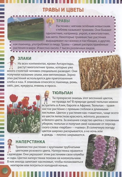 Первая энциклопедия для девочек - фото 5