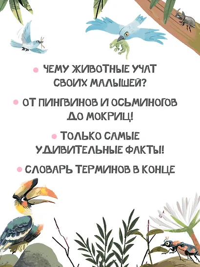 Семья в мире животных. Любовь, забота и воспитание в дикой природе - фото 7