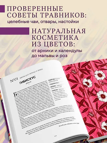 Грамматика цветов. Иллюстрированный путеводитель по цветочной вселенной символов, лечебных свойств и применения растений - фото 5