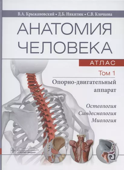 Анатомия человека: атлас. В трех томах. Том 1. Опорно-двигательный аппарат. Учебное пособие - фото 1