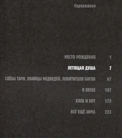 Летящая душа. (Духи, парящие в небе). Манга - фото 8