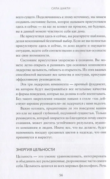 Сила Шакти. Единение женской и мужской энергии в бизнесе - фото 7