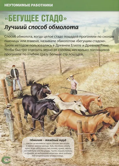 Всё о лошадях. Самая красивая энциклопедия (МЕЛОВКА) - фото 4