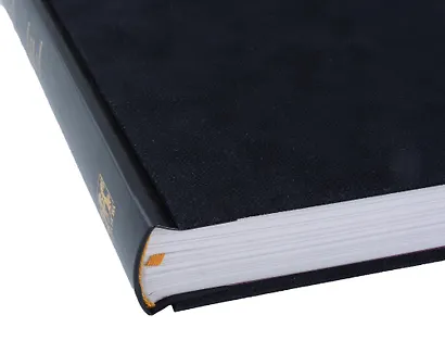 Мастер и Маргарита Роман - фото 7