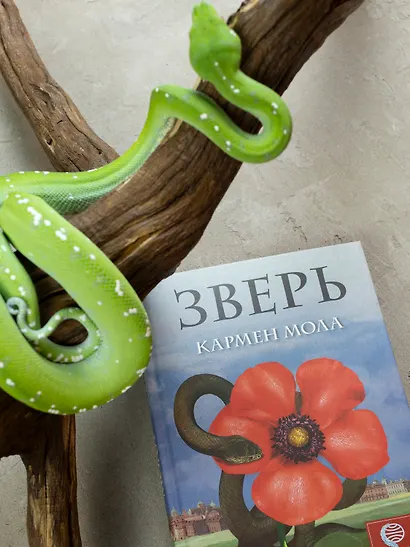 Зверь - фото 13